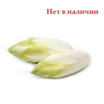 Цикорий салатный