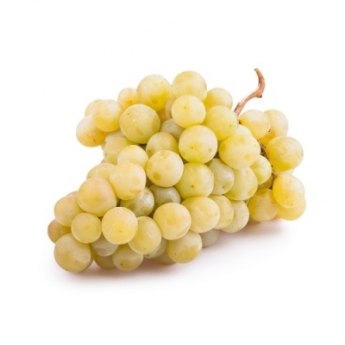 Белый виноград без косточек